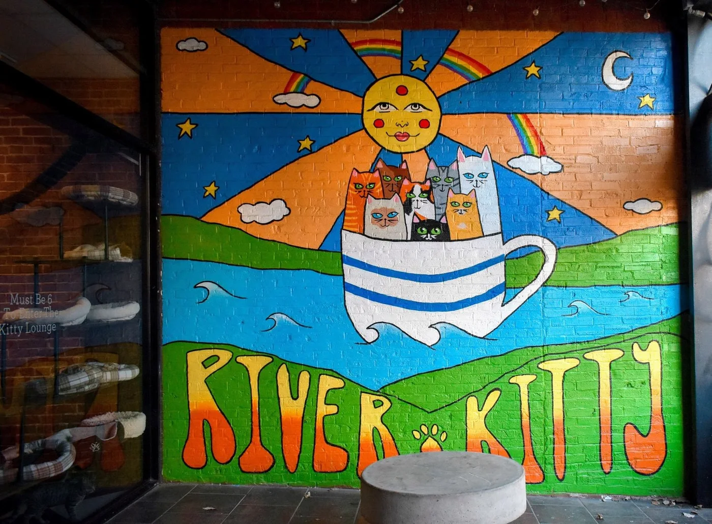 River Kitty Cat Café, business photo 3
